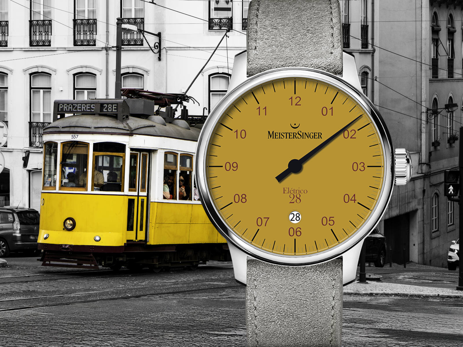 MeisterSinger